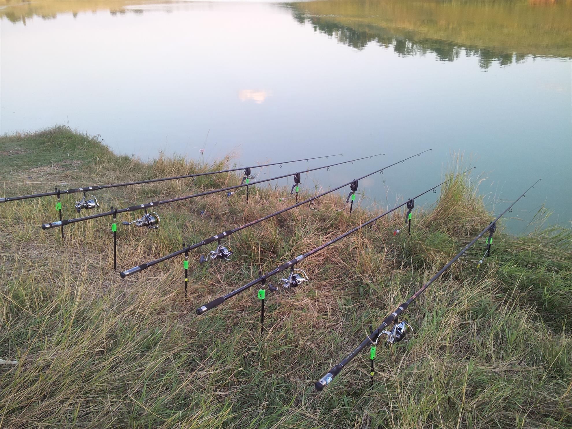 fundulea 6 20.07.2013 - 20130803200440.jpg